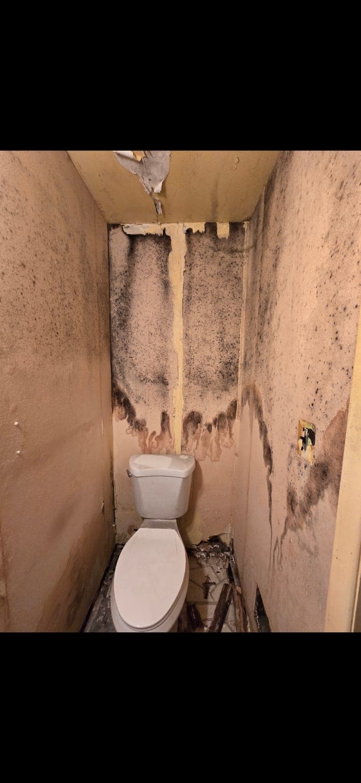 Severe black mold covering toilet closet walls with flooring removed before remediation