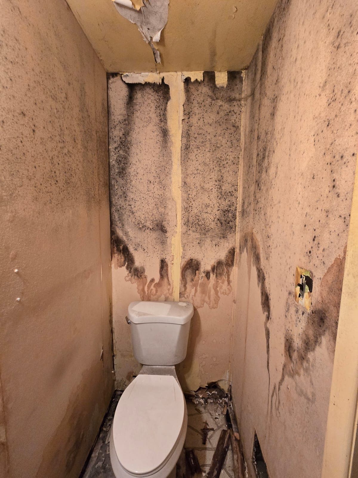 Severe black mold growth and water staining on the walls and ceiling of a small toilet alcove